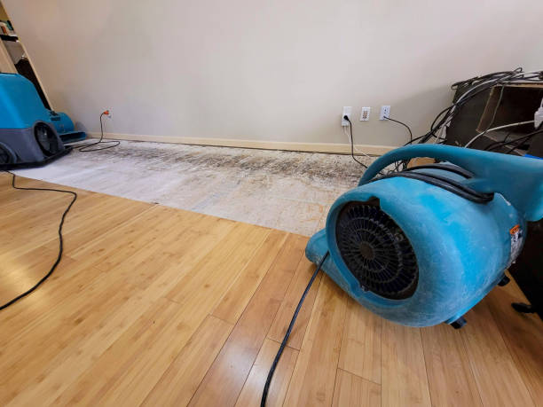 Professional Flood Damage Cleanup technician working in Schertz, TX